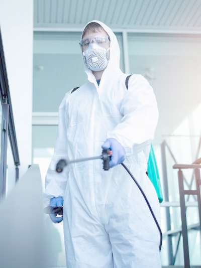 Best pest control services in Hyderabad