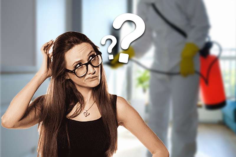 How to Choose the Right Termite Control Company